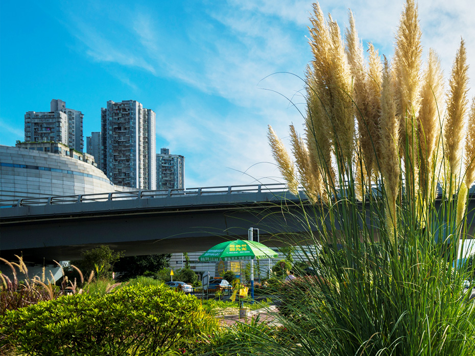 沱江二橋加寬改造工程附屬景觀建設(shè)項目